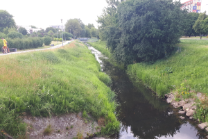 Ein kleiner Bach fließt durch eine grüne Wiese neben einer Straße, mit einer Person, die auf der linken Seite Fahrrad fährt; Bäume, Pfähle, Gebäude und ein klarer blauer Himmel sind im Hintergrund zu sehen.