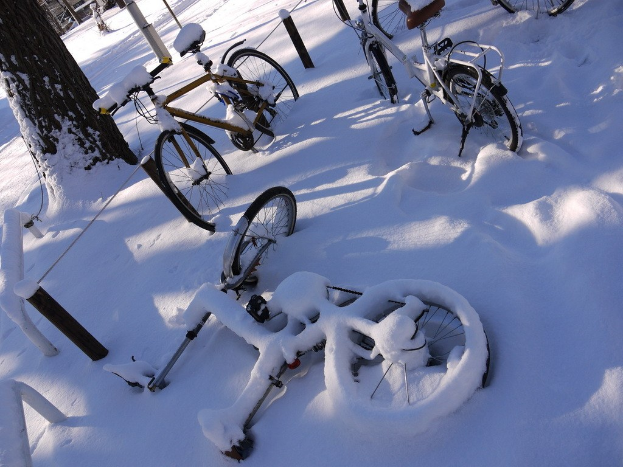 Eine Reihe von Fahrrädern, die teilweise von Schnee bedeckt sind, neben einem Baumstamm und einer Straße.