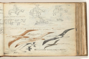 Ein aufgeschlagenes Buch mit Illustrationen von Vögeln im Flug und Menschen, die zu ihnen aufschauen, mit kursiver Schrift auf den Seiten.