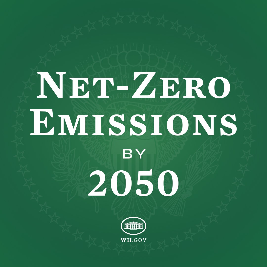 Grüner Hintergrund mit fetter weißer Schrift, die "netto-null-Emissionen bis 2050" lautet.