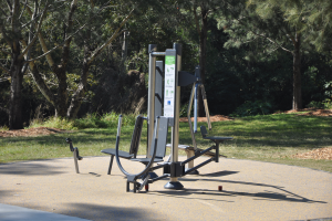 Ein Park mit Sportgeräten in der Mitte, umgeben von grünem Gras und hohen Bäumen im Hintergrund.