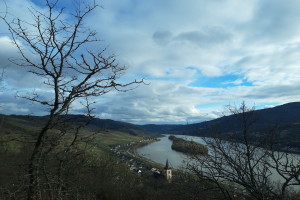 Wegen Hitze: Weiteres Verschlechtern für Rhein in Mainz erwartet