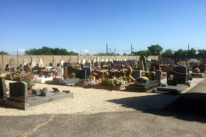 Ein Friedhof mit zahlreichen Grabsteinen, Blumen, einer Hintergrundmauer, Strommasten mit Leitungen, Bäumen und einem bewölkten Himmel.