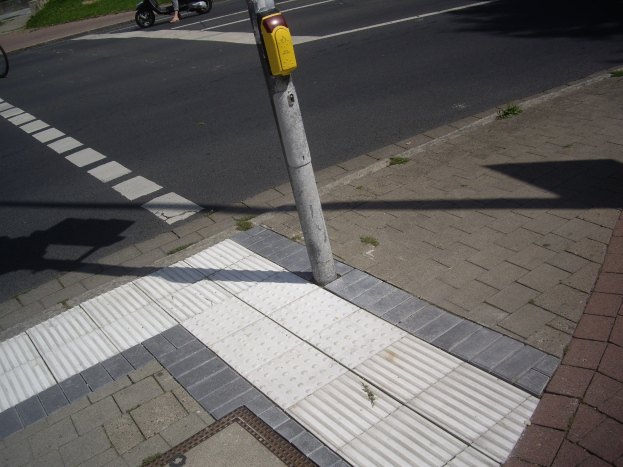 Eine Person fährt mit einem Roller die Straße neben einem Gehweg entlang, vorbei an einem Pfahl auf der Straße, mit einem Fahrrad auf dem Gehweg links und Gebäuden, Bäumen und Gras im Hintergrund.