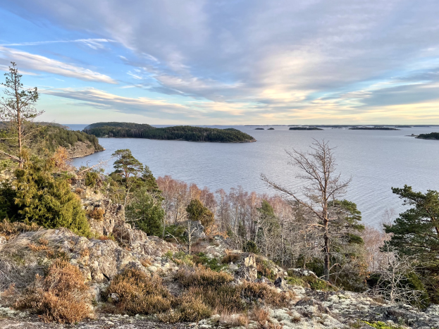 Ein atemberaubender Ausblick von einem Hügel auf einen See, mit Bäumen, Pflanzen und Felsen im Vordergrund und einem bewölkten Himmel im Hintergrund.
