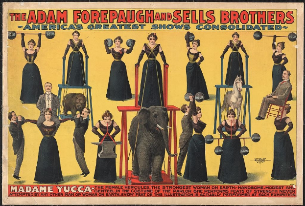 Plakat für die vereinigte Show von Adam Forepaugh und Sells Brothers mit Performern auf Hockern und einem Elefanten in der Mitte und Text.