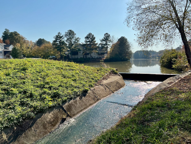 Kleiner Bach, der durch ein grünes Feld neben einem Gewässer fließt, mit Bäumen und Pflanzen auf beiden Seiten, Gebäude im Hintergrund unter einem klaren blauen Himmel.