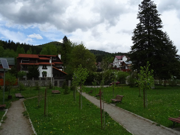 Ein Park mit Bänken und Bäumen, umgeben von Gras, Pflanzen und Blumen, mit einer Straße, Gebäuden, Bäumen und einem bewölktem Himmel im Hintergrund, mit Solarpanelen auf einem Mast auf der linken Seite.